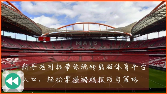 新手老司机带你玩转熊猫体育平台入口，轻松掌握游戏技巧与策略