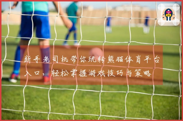 新手老司机带你玩转熊猫体育平台入口，轻松掌握游戏技巧与策略