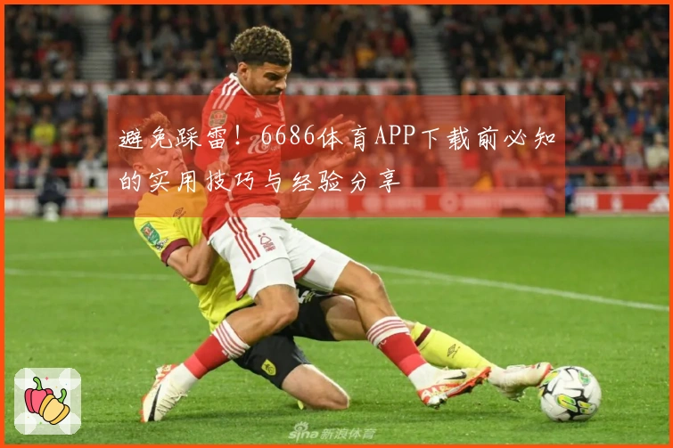 避免踩雷！6686体育APP下载前必知的实用技巧与经验分享