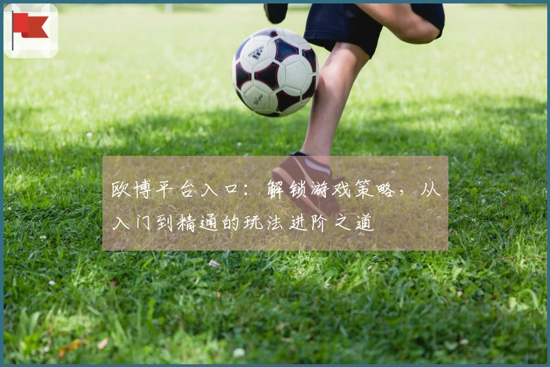欧博平台入口：解锁游戏策略，从入门到精通的玩法进阶之道